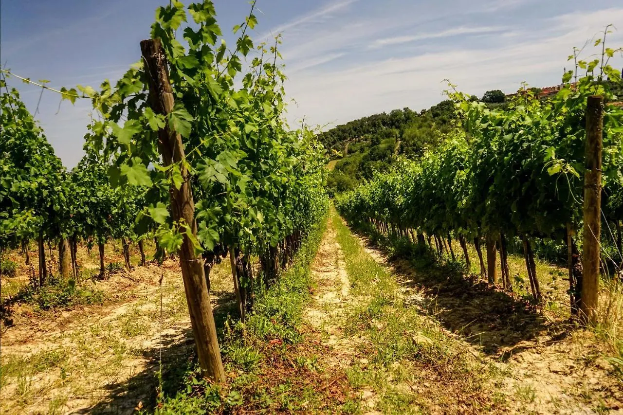 Country house Tenuta Sant'Ilario Gambassi Terme